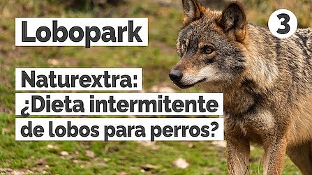 Naturextra: ¿Dieta intermitente de lobos para perros?