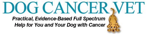 Dog Cancer Vet