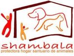 Shambala SF